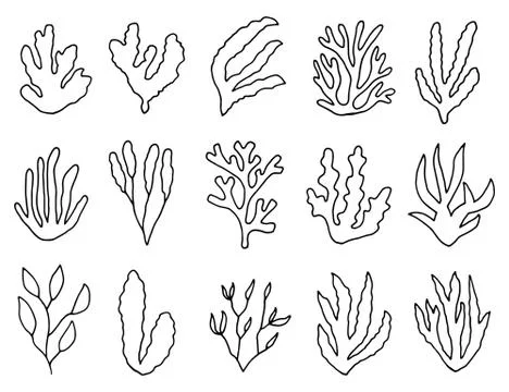 Algae outline isolated plants. linear drawing set of objects Stock Illustration