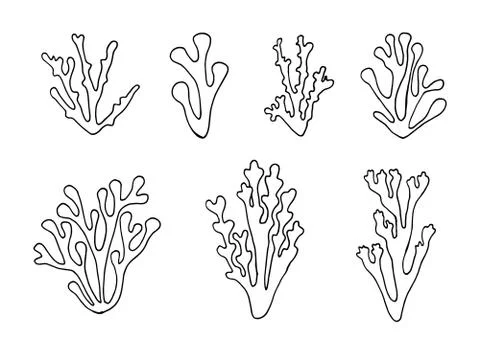 Algae outlined set vector isolated. hand drawings Illustrazione stock
