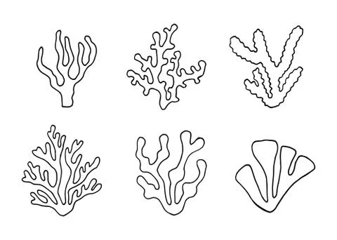 Algae outlined set vector isolated 스톡 일러스트