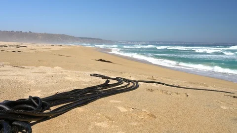 Algae over the sand on an amazing and wild beach at South America Видео 106904745