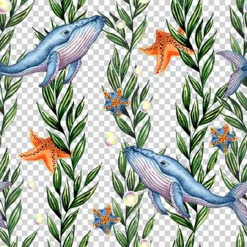Algae pattern whales and starfish in watercolor 库存插图