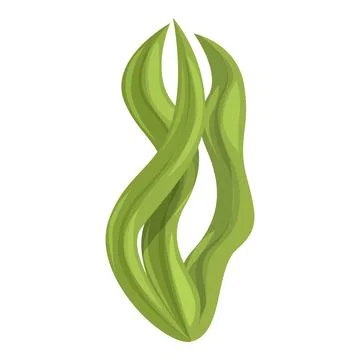 Algae plant icon cartoon vector. Alga powder Stock Illustration