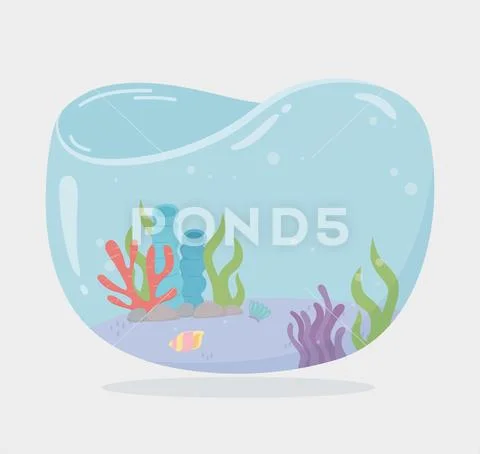 Algae reef shellsea water tank for fishes under sea cartoon Stock Illustration