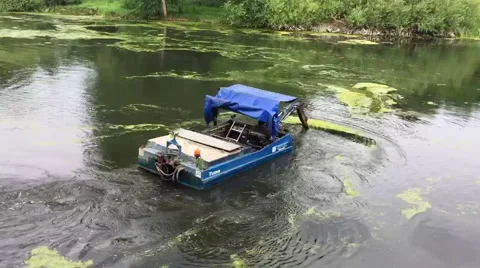 Algae removal from a lake with a boat Video stock 66061831