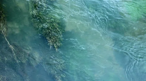Algae In River Vídeos de archivo 25449242