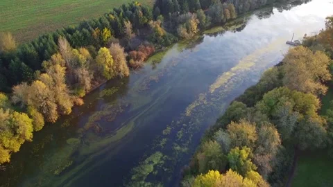 Algae in the river Stock Footage 143609109