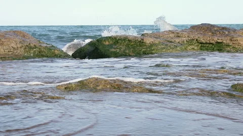 Algae  rocks in the sea. Stock Footage 59942513