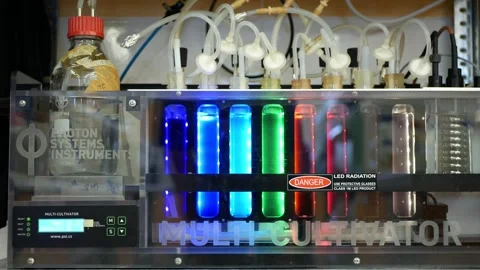 Algae science reactor bubbles, research modern laboratory bioreactor Stock Footage 219712470