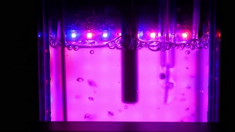 Algae science reactor, research modern laboratory bioreactor multi cultivator Stock Footage 219970419