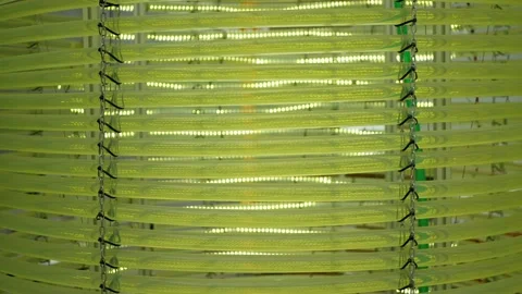 Algae science reactor tubular, research pipe hose modern laboratory bioreactor Stock Footage 219902296