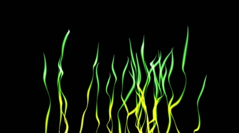 Algae Sea Animation 25fps Stock Footage 41608248