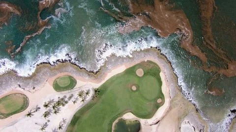 Algae in the sea. Dirty beach Stock Footage 96249869