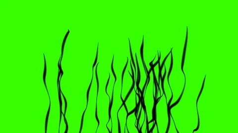 Algae Sea silhouette 25fps Stock Footage 41608190