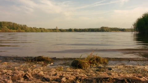 Algae seaweed by side of lake waves Vídeo Stock 340276900