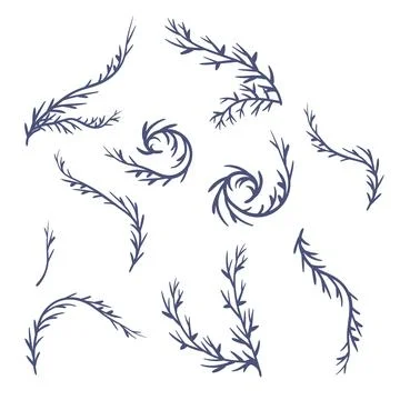 Algae. Set. Marine icon. Hand-drawn vector illustration. Stock Illustration