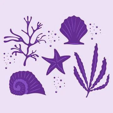 Algae, shells, and starfish. Purple set of flat underwater ecosystem drawings Stock Illustration