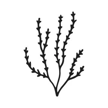 Algae silhouette hand-drawn vector isolated Illustrazione stock