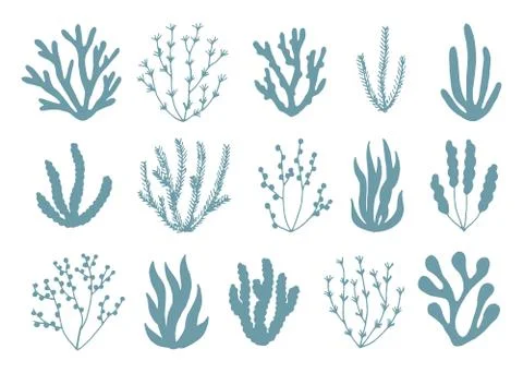 Algae silhouettes set of icons イラスト素材