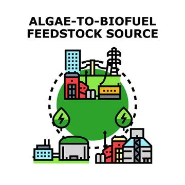 Algae transforming into biofuel feedstock source concept Stock Illustration