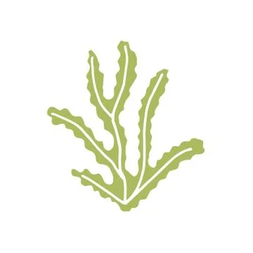 Algae vector icon Stock-Illustration