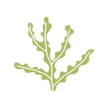 Algae vector icon Stock-Illustration