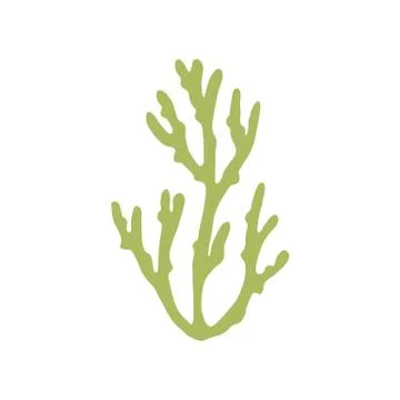 Algae vector Stock-Illustration