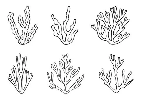 Algae vector sketch. hand-drawing Stock-Illustration