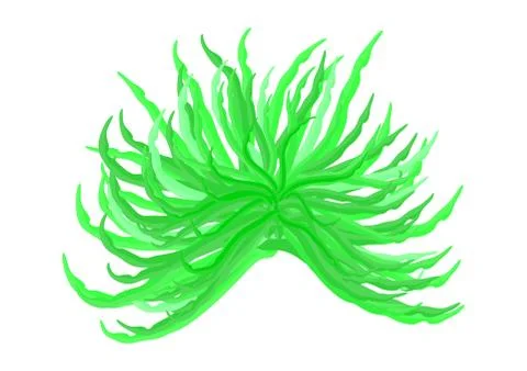 Algae vector symbol icon design. Beautiful illustration isolated on white bac 스톡 일러스트