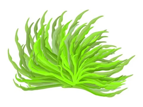 Algae vector symbol icon design. Beautiful illustration isolated on white bac Stock Illustration