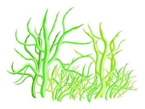 Algae vector symbol icon design. Beautiful illustration isolated on white bac Stock Illustration