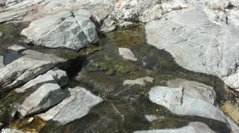 Algae Water Over Rocks Vídeo Stock 12139796