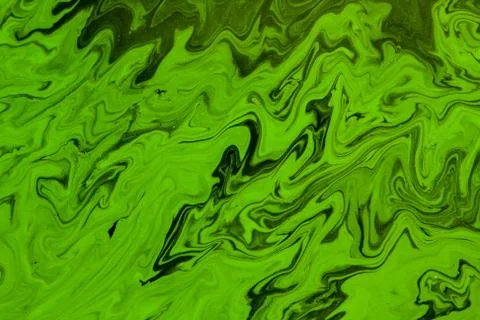 Algae on water surface Stock Photos