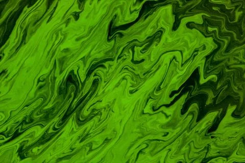 Algae on water surface Foto stock