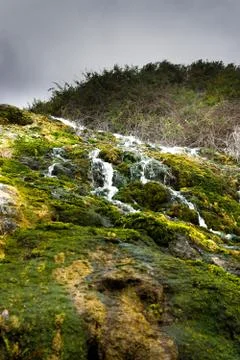 Algae waterfall in Tenerife Stock Photos