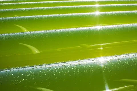 An AlgaeLink Algae growing system that is harvested to make ethanol and biodi Stock Photos
