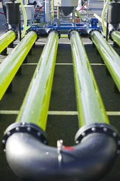 An AlgaeLink Algae growing system that is harvested to make ethanol and biodi Stock Photos