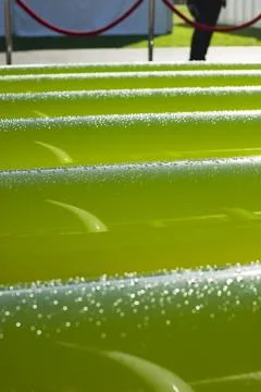 An AlgaeLink Algae growing system that is harvested to make ethanol and biodi Stock Photos
