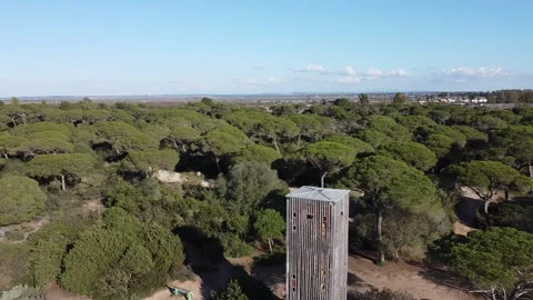 Algaida Park Stockbeeldmateriaal 135869276