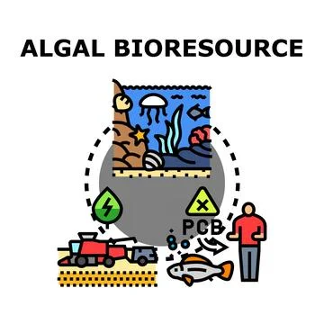 Algal bioresource utilizing marine microalgae for sustainability Stock Illustration