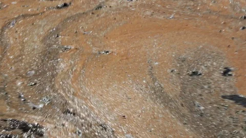 Algal bloom Stock Footage 99399415