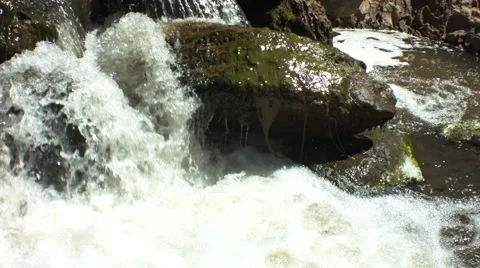 Algea on a river rock Stock Footage 40027739