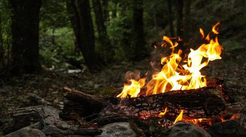 Algeria camp fire Stock Photos