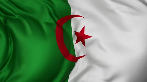 Algeria cloth flag background loop Stock Footage 310848457