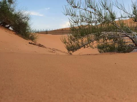 Algeria desert using Samsung note 10 plus camera with focus 스톡 사진