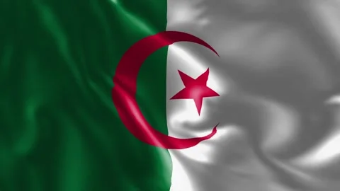Algeria Flag 3d Animation Waving Flag Stock Footage 314041870