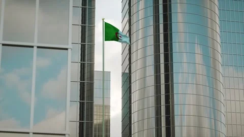 Algeria Flag 3D Render Animation on Pole with City Buildings Stock Footage 332245979