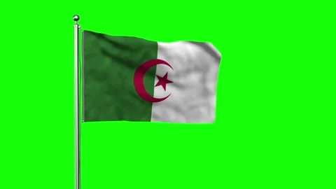 Algeria flag animation waving in wind loop with green background Stock Footage 314277307