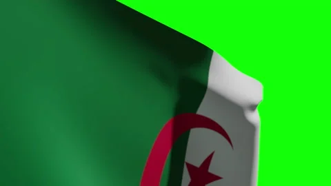Algeria Flag Close Видео 132903400