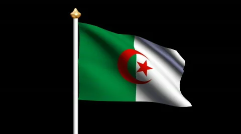 Algeria flag Video stock 557114