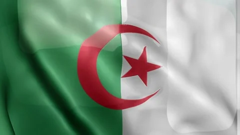 Algeria Flag Video stock 133771543